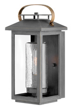 Hinkley 1160AH - Medium Wall Mount Lantern